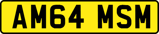 AM64MSM