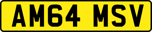 AM64MSV