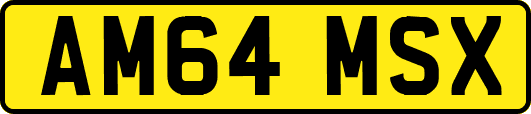 AM64MSX