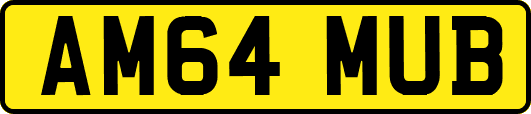 AM64MUB