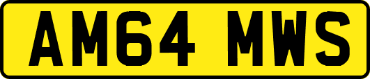 AM64MWS