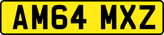 AM64MXZ