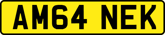 AM64NEK