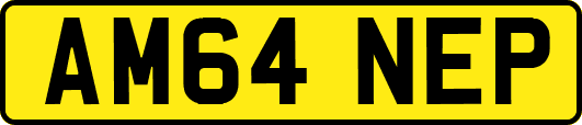 AM64NEP