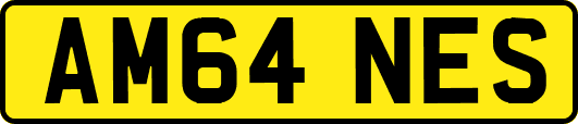 AM64NES