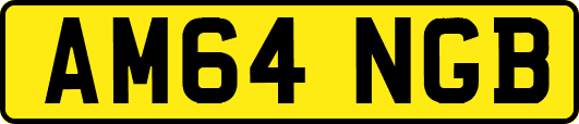 AM64NGB