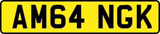 AM64NGK