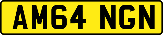 AM64NGN