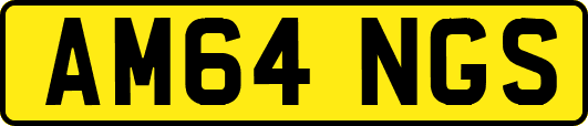 AM64NGS