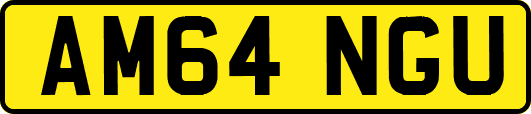 AM64NGU