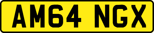 AM64NGX