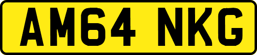 AM64NKG