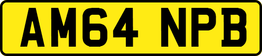 AM64NPB