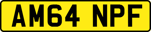 AM64NPF