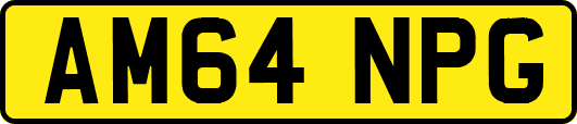 AM64NPG