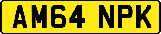 AM64NPK