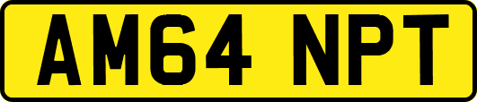 AM64NPT