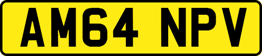AM64NPV