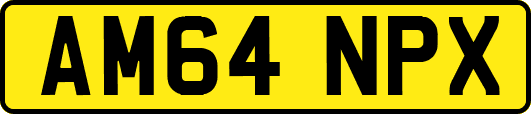 AM64NPX