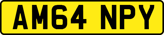 AM64NPY