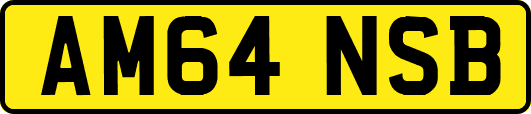 AM64NSB