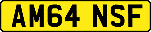 AM64NSF
