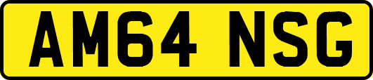 AM64NSG
