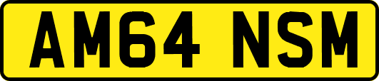 AM64NSM