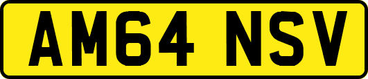 AM64NSV