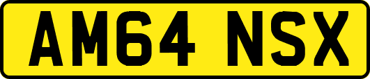AM64NSX