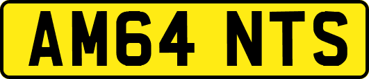 AM64NTS