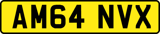 AM64NVX