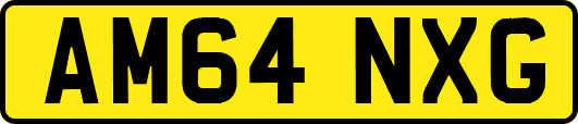AM64NXG