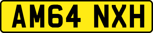 AM64NXH