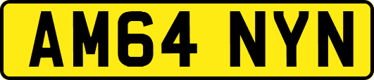 AM64NYN