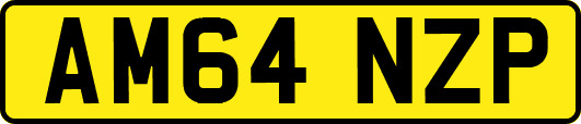 AM64NZP