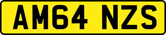 AM64NZS