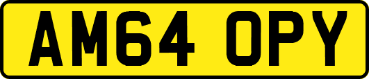 AM64OPY