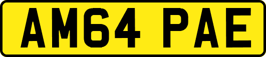 AM64PAE