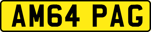 AM64PAG