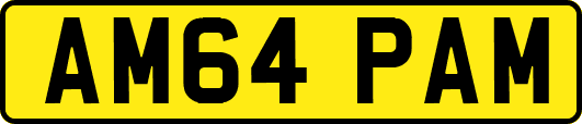 AM64PAM