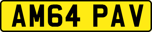 AM64PAV