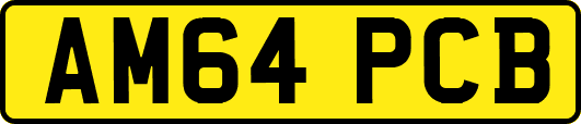 AM64PCB