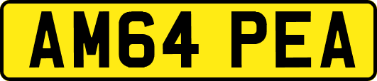 AM64PEA