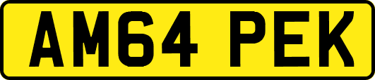 AM64PEK