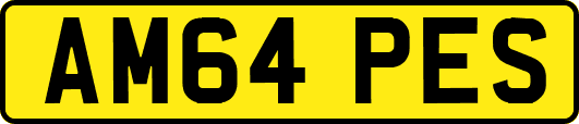 AM64PES