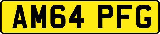 AM64PFG