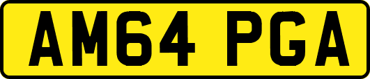 AM64PGA