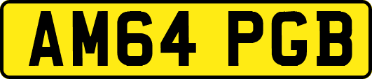 AM64PGB