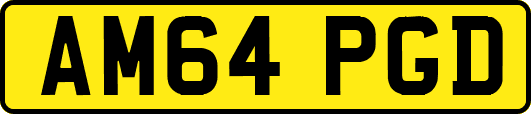 AM64PGD